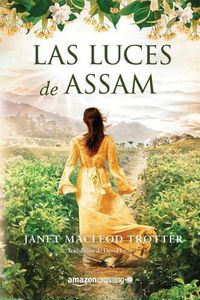 Cover image for Las luces de Assam