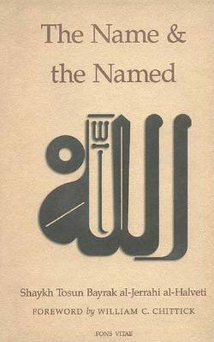 Cover image for The Name and the Named