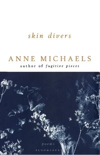 Cover image for Skin Divers