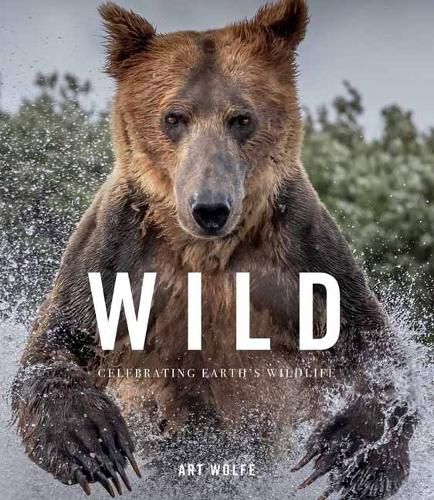 Cover image for Wild Lives
