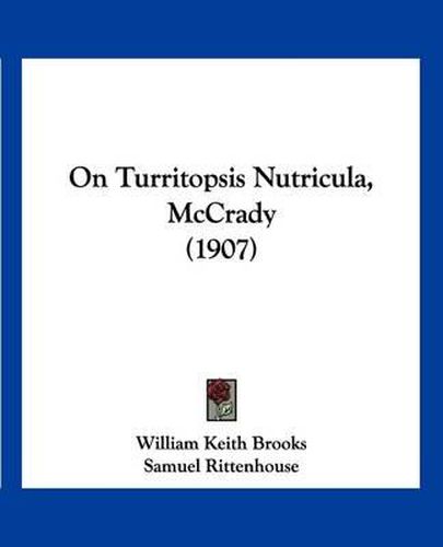 On Turritopsis Nutricula, McCrady (1907)