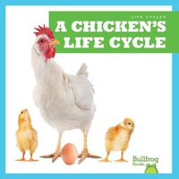 Cover image for A Chicken's Life Cycle