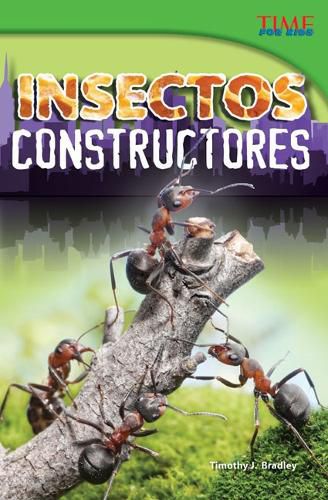 Cover image for Insectos constructores (Bug Builders) (Spanish Version)