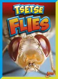 Cover image for Tsetse Flies