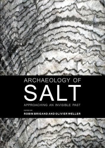 Cover image for Archaeology of Salt