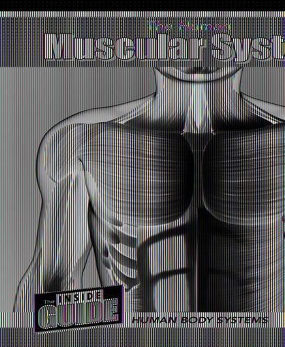 Cover image for The Human Muscular System