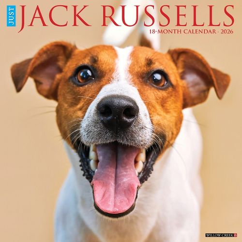 Cover image for Jack Russells 2026 12 X 12 Wall Calendar