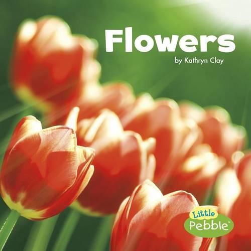 Cover image for Flowers