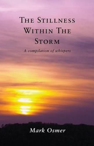 Cover image for The Stillness Within The Storm: A compilation of whispers