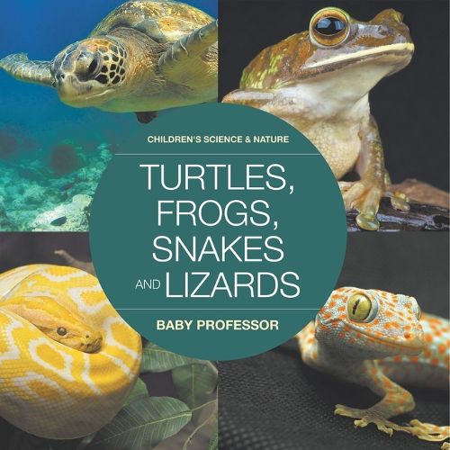 Cover image for Turtles, Frogs, Snakes and Lizards Children's Science & Nature