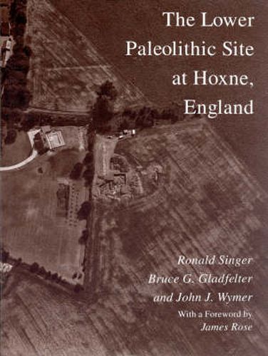 Cover image for The Lower Paleolithic Site at Hoxne, England