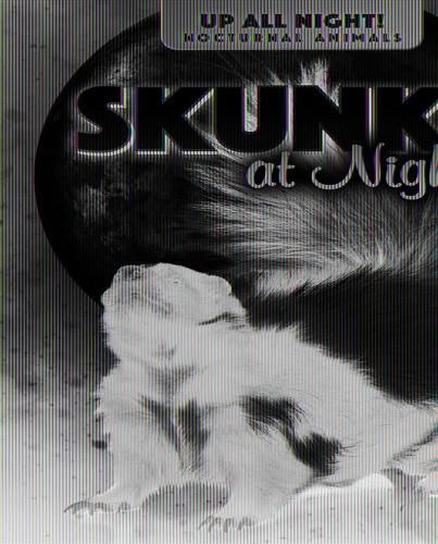 Cover image for Skunks at Night