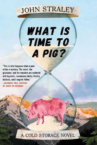 Cover image for What Is Time To A Pig?