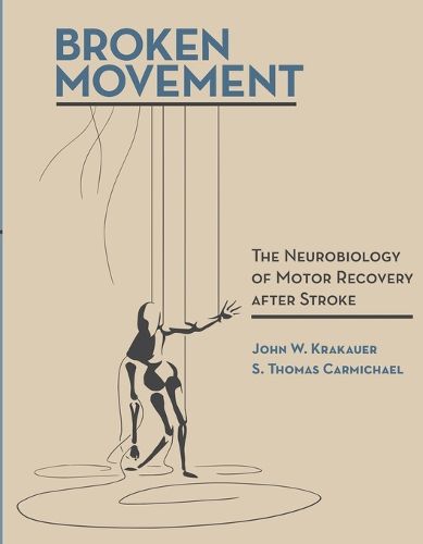 Broken Movement: The Neurobiology of Motor Recovery after Stroke