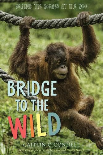 Cover image for Bridge to the Wild: Behind the Scenes at the Zoo