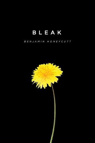Cover image for Bleak: A Story of Bullying, Rage and Survival