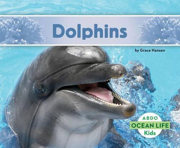 Cover image for Dolphins