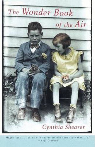 Cover image for The Wonder Book of the Air
