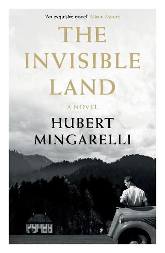 Cover image for The Invisible Land