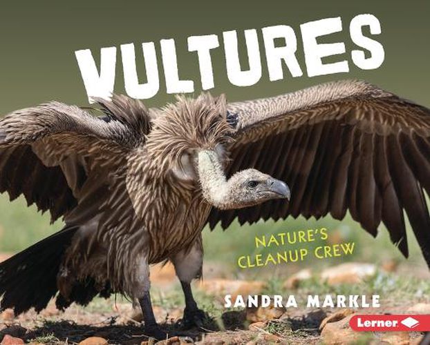 Cover image for Vultures