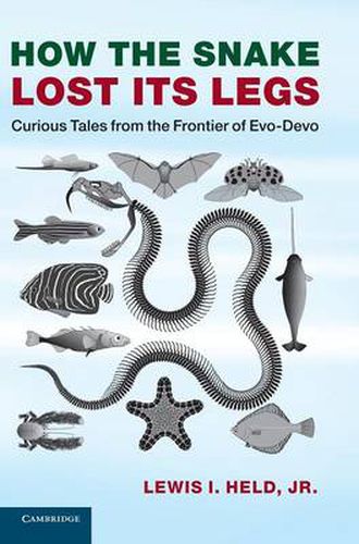 Cover image for How the Snake Lost its Legs: Curious Tales from the Frontier of Evo-Devo