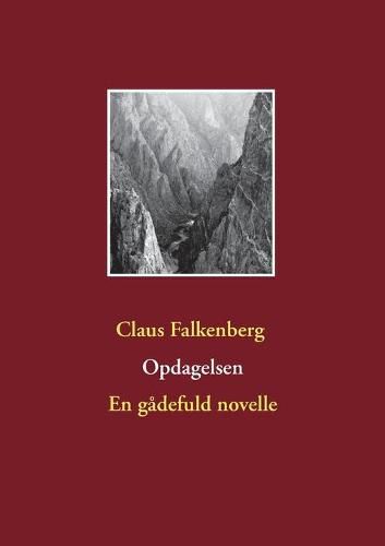 Cover image for Opdagelsen: En gadefuld novelle