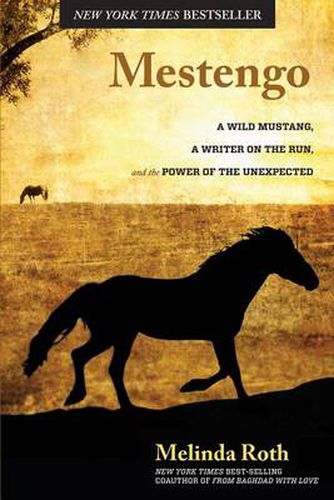 Cover image for Mestengo: A Wild Mustang, A Writer On The Run, And The Power Of The Unexpected