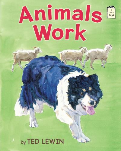 Cover image for Animals Work