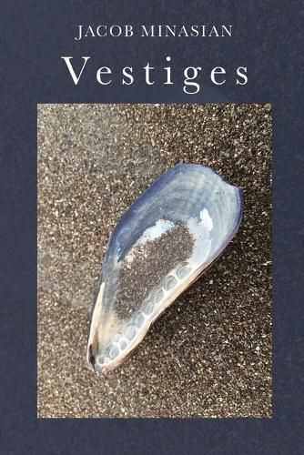 Cover image for Vestiges