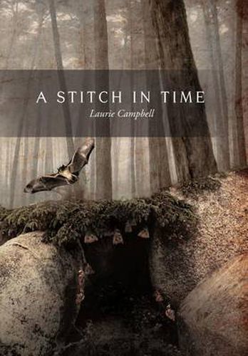 Cover image for A Stitch in Time