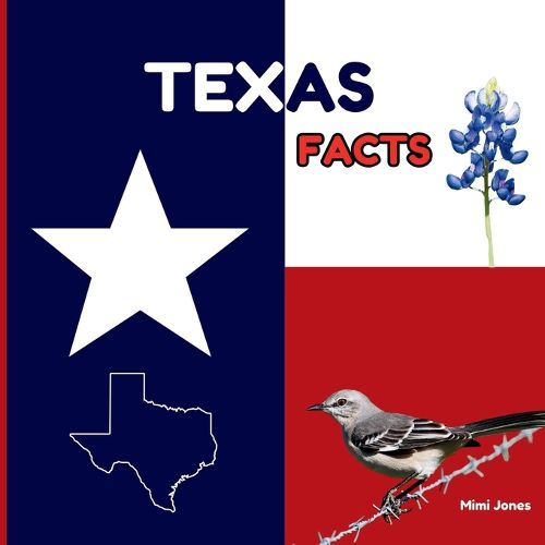 Cover image for Texas Facts