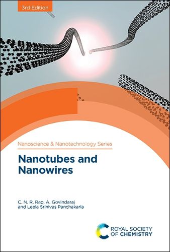 Cover image for Nanotubes and Nanowires