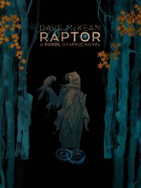 Cover image for Raptor: A Sokol Graphic Novel