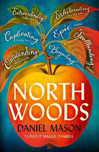 Cover image for North Woods