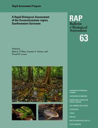 Cover image for A Rapid Biological Assessment of the Kwamalasamutu region, Southwestern Suriname