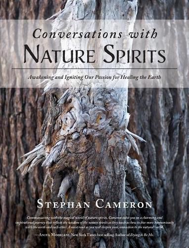 Cover image for Conversations with Nature Spirits: Awakening and Igniting Our Passion for Healing the Earth