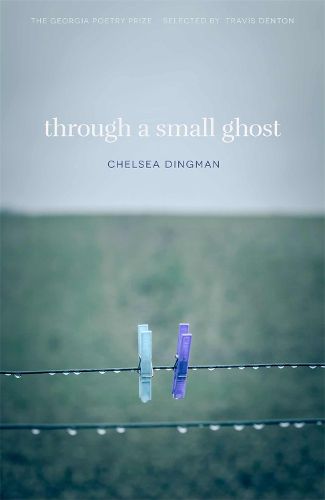 Cover image for Through a Small Ghost: Poems