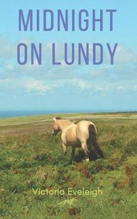 Cover image for Midnight on Lundy