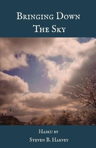 Cover image for Bringing Down the Sky