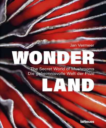 Cover image for Wonderland