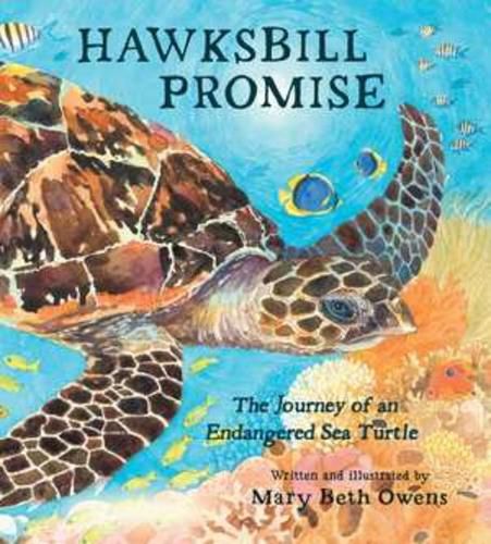 Cover image for Hawksbill Promise: The Journey of an Endangered Sea Turtle