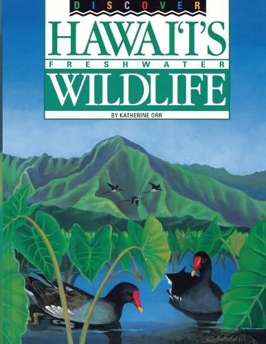 Cover image for Discover Hawaii's Freshwater Wildlife