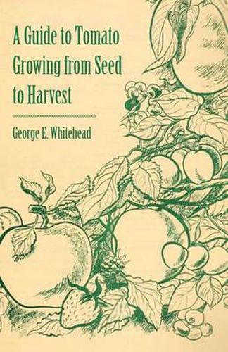 Cover image for A Guide to Tomato Growing from Seed to Harvest