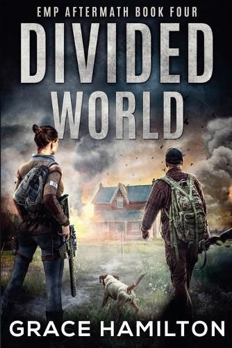 Cover image for Divided World