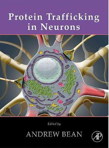 Cover image for Protein Trafficking in Neurons