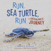 Cover image for Run, Sea Turtle, Run: A Hatchling's Journey