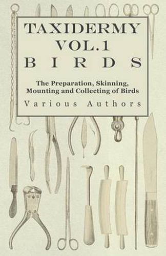 Cover image for Taxidermy Vol.1 Birds - The Preparation, Skinning, Mounting and Collecting of Birds