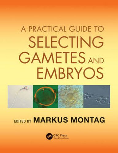 Cover image for A Practical Guide to Selecting Gametes and Embryos