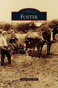 Cover image for Foster