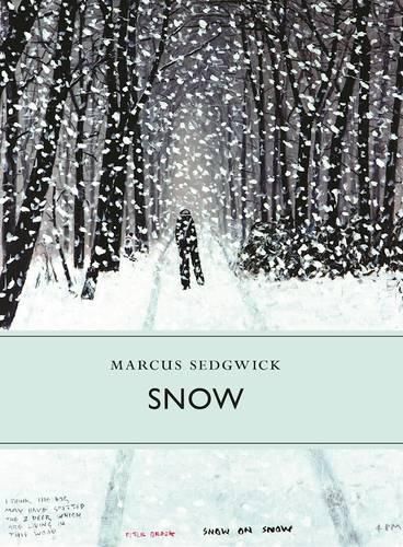 Cover image for Snow